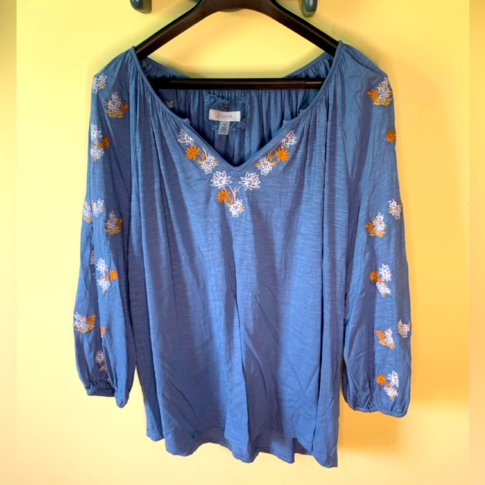 Adorable Blue Top 3X